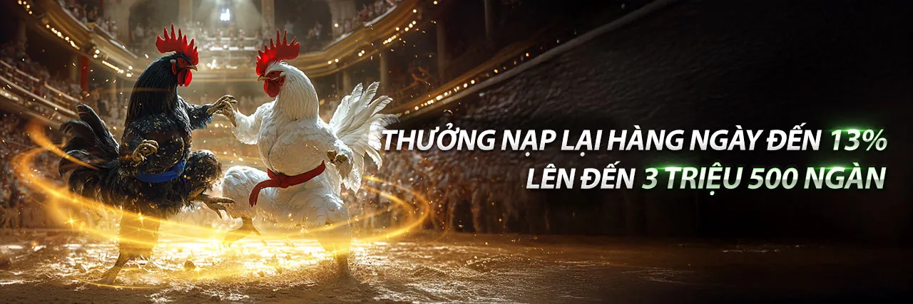 Đá gà Thomo 24 tháng 3 trận 40